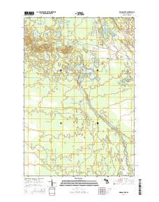 Driggs Lake Michigan Historical topographic map, 1:24000 scale, 7.5 X 7.5 Minute, Year 2014