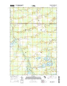 Driggs Lake SE Michigan Historical topographic map, 1:24000 scale, 7.5 X 7.5 Minute, Year 2014