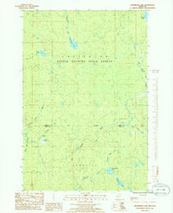 Drummond Lake Michigan Historical topographic map, 1:24000 scale, 7.5 X 7.5 Minute, Year 1985