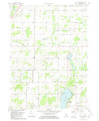 Duck Lake Michigan Historical topographic map, 1:24000 scale, 7.5 X 7.5 Minute, Year 1980
