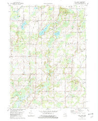 East Leroy Michigan Historical topographic map, 1:24000 scale, 7.5 X 7.5 Minute, Year 1982