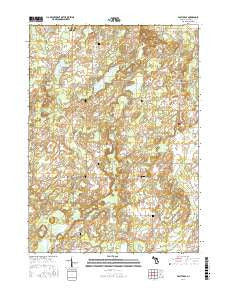 East Leroy Michigan Current topographic map, 1:24000 scale, 7.5 X 7.5 Minute, Year 2016