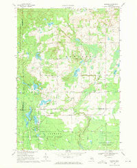 Edwards Michigan Historical topographic map, 1:24000 scale, 7.5 X 7.5 Minute, Year 1969