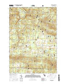 Eldorado Michigan Current topographic map, 1:24000 scale, 7.5 X 7.5 Minute, Year 2017