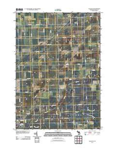 Ellington Michigan Historical topographic map, 1:24000 scale, 7.5 X 7.5 Minute, Year 2011