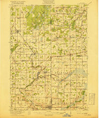 Elsie Michigan Historical topographic map, 1:62500 scale, 15 X 15 Minute, Year 1918