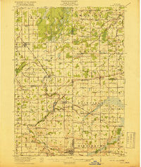 Elsie Michigan Historical topographic map, 1:62500 scale, 15 X 15 Minute, Year 1918