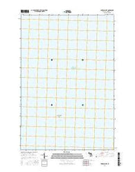 Emerson OE E Michigan Current topographic map, 1:24000 scale, 7.5 X 7.5 Minute, Year 2017