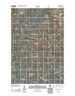 Ensign Michigan Historical topographic map, 1:24000 scale, 7.5 X 7.5 Minute, Year 2011