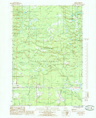 Ensign Michigan Historical topographic map, 1:24000 scale, 7.5 X 7.5 Minute, Year 1985