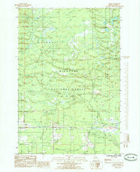 Ensign Michigan Historical topographic map, 1:24000 scale, 7.5 X 7.5 Minute, Year 1985