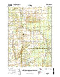 Falmouth Michigan Current topographic map, 1:24000 scale, 7.5 X 7.5 Minute, Year 2016