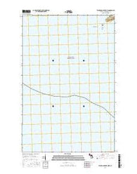 Feldtmann Lake OE W Michigan Current topographic map, 1:24000 scale, 7.5 X 7.5 Minute, Year 2017