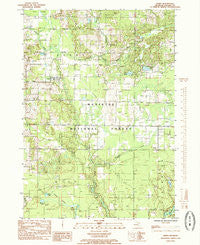 Ferry Michigan Historical topographic map, 1:24000 scale, 7.5 X 7.5 Minute, Year 1985
