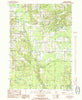 Ferry Michigan Historical topographic map, 1:24000 scale, 7.5 X 7.5 Minute, Year 1985