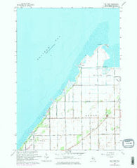Fish Point Michigan Historical topographic map, 1:24000 scale, 7.5 X 7.5 Minute, Year 1963