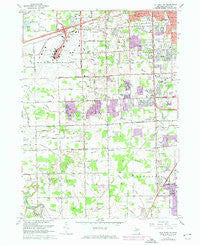 Flat Rock NE Michigan Historical topographic map, 1:24000 scale, 7.5 X 7.5 Minute, Year 1967
