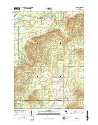 Fletcher Michigan Current topographic map, 1:24000 scale, 7.5 X 7.5 Minute, Year 2017