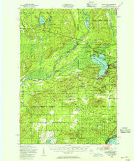 Fletcher Michigan Historical topographic map, 1:62500 scale, 15 X 15 Minute, Year 1949