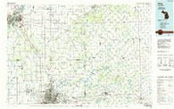 Flint Michigan Historical topographic map, 1:100000 scale, 30 X 60 Minute, Year 1984