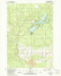 Floyd Lake Michigan Historical topographic map, 1:24000 scale, 7.5 X 7.5 Minute, Year 1989