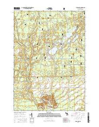 Floyd Lake Michigan Current topographic map, 1:24000 scale, 7.5 X 7.5 Minute, Year 2016