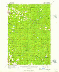 Foster City Michigan Historical topographic map, 1:62500 scale, 15 X 15 Minute, Year 1956