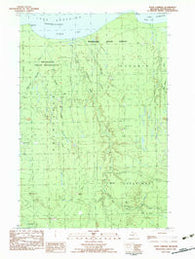 Four Corners Michigan Historical topographic map, 1:25000 scale, 7.5 X 7.5 Minute, Year 1982