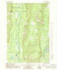Frederic Michigan Historical topographic map, 1:24000 scale, 7.5 X 7.5 Minute, Year 1985