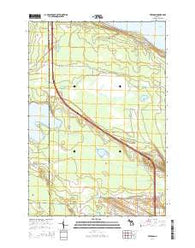 Freedom Michigan Historical topographic map, 1:24000 scale, 7.5 X 7.5 Minute, Year 2014