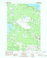 Freedom Michigan Historical topographic map, 1:25000 scale, 7.5 X 7.5 Minute, Year 1982