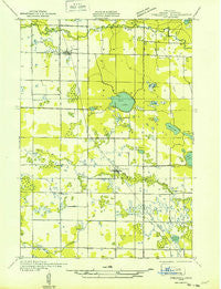 Freesoil SW Michigan Historical topographic map, 1:31680 scale, 7.5 X 7.5 Minute, Year 1931