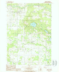 Freesoil Michigan Historical topographic map, 1:24000 scale, 7.5 X 7.5 Minute, Year 1987