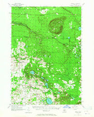 Freesoil Michigan Historical topographic map, 1:62500 scale, 15 X 15 Minute, Year 1957