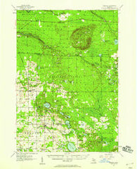 Freesoil Michigan Historical topographic map, 1:62500 scale, 15 X 15 Minute, Year 1957