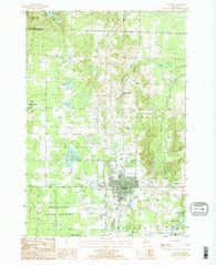Gaylord Michigan Historical topographic map, 1:24000 scale, 7.5 X 7.5 Minute, Year 1986