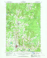 Gaylord Michigan Historical topographic map, 1:62500 scale, 15 X 15 Minute, Year 1954