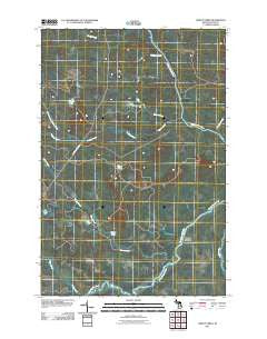 Gimlet Creek Michigan Historical topographic map, 1:24000 scale, 7.5 X 7.5 Minute, Year 2011