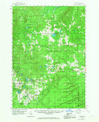 Glennie Michigan Historical topographic map, 1:62500 scale, 15 X 15 Minute, Year 1959