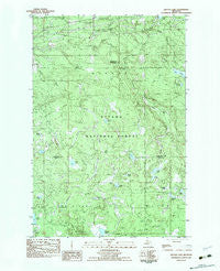 Glitter Lake Michigan Historical topographic map, 1:25000 scale, 7.5 X 7.5 Minute, Year 1982