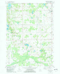Gobles West Michigan Historical topographic map, 1:24000 scale, 7.5 X 7.5 Minute, Year 1981
