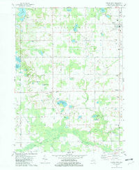 Gobles West Michigan Historical topographic map, 1:24000 scale, 7.5 X 7.5 Minute, Year 1981