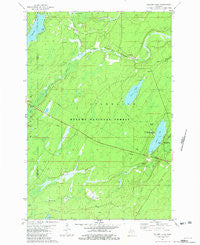 Golden Lake Michigan Historical topographic map, 1:24000 scale, 7.5 X 7.5 Minute, Year 1981