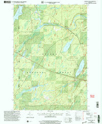 Golden Lake Michigan Historical topographic map, 1:24000 scale, 7.5 X 7.5 Minute, Year 1999