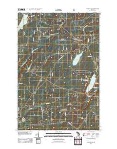 Golden Lake Michigan Historical topographic map, 1:24000 scale, 7.5 X 7.5 Minute, Year 2011