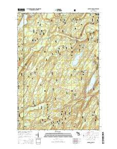 Golden Lake Michigan Historical topographic map, 1:24000 scale, 7.5 X 7.5 Minute, Year 2014
