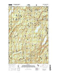 Golden Lake Michigan Current topographic map, 1:24000 scale, 7.5 X 7.5 Minute, Year 2016