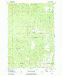 Goodar Michigan Historical topographic map, 1:24000 scale, 7.5 X 7.5 Minute, Year 1972