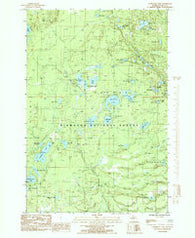 Gooseneck Lake Michigan Historical topographic map, 1:24000 scale, 7.5 X 7.5 Minute, Year 1985