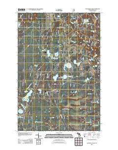 Gooseneck Lake Michigan Historical topographic map, 1:24000 scale, 7.5 X 7.5 Minute, Year 2011